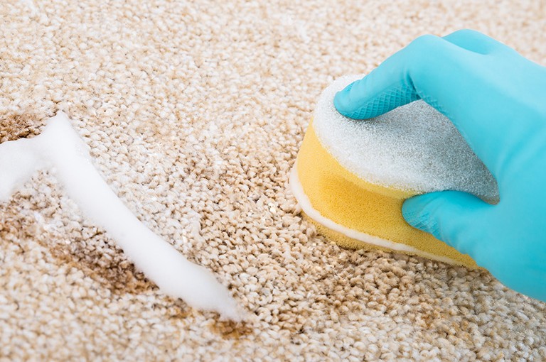 Reinigung Ihrer Teppichböden