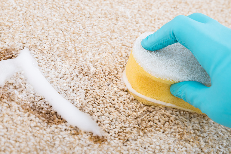 Reinigung Ihrer Teppichböden
